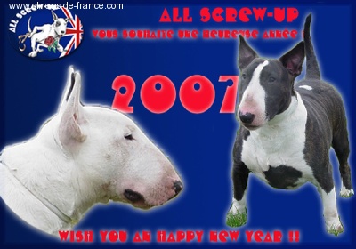 All Screw-Up